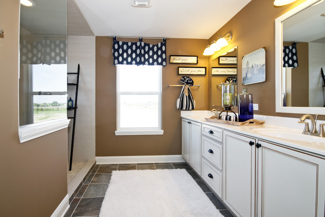 2056 Stapleton Road New Lenox, IL 60451 - Photo 8 of 25 a bathroom with a double vanity sink mirror and shower