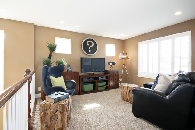 2056 Stapleton Road New Lenox, IL 60451 - Photo 9 of 25 a living room with furniture and a flat screen tv