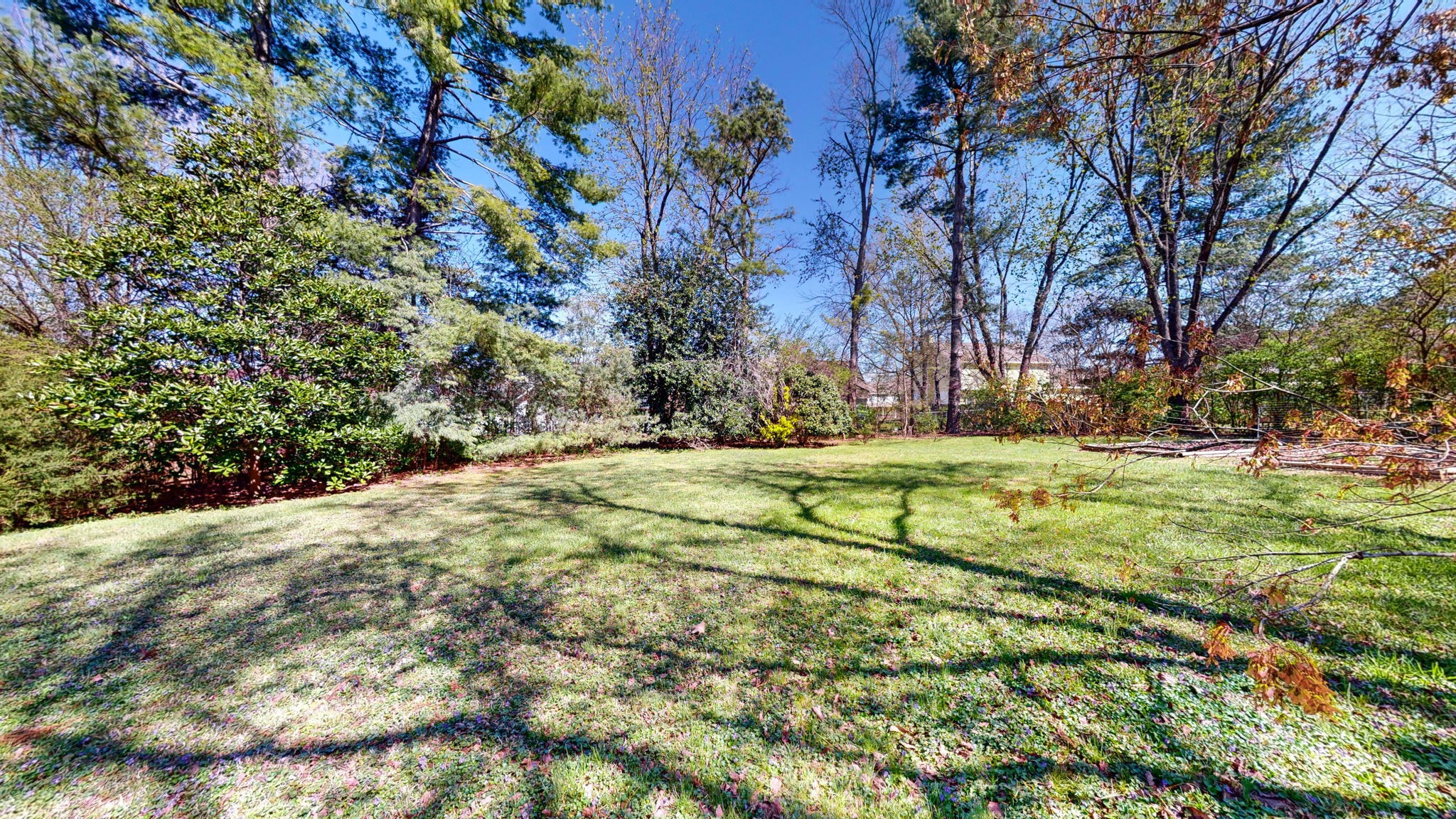 1510 Avon Road Murfreesboro, TN 37129 - Photo 35 of 35 a view of yard with tree