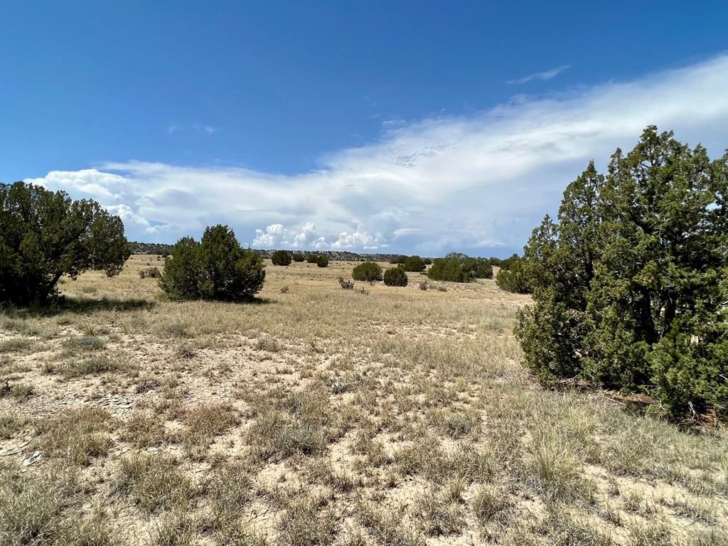 93.9 County Road 93.9 Model, CO 81059 - Photo 21 of 40