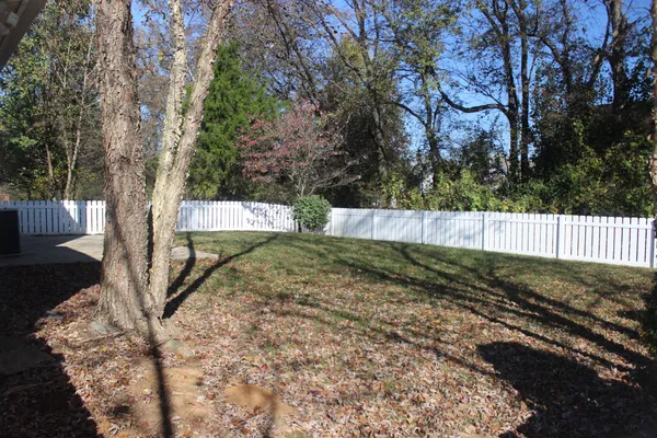 a view of backyard with tree