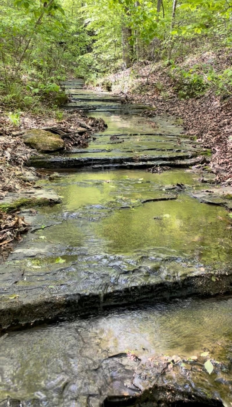465 Zimmerman Road Hampshire, TN 38461 - Photo 10 of 23 a view of a water view