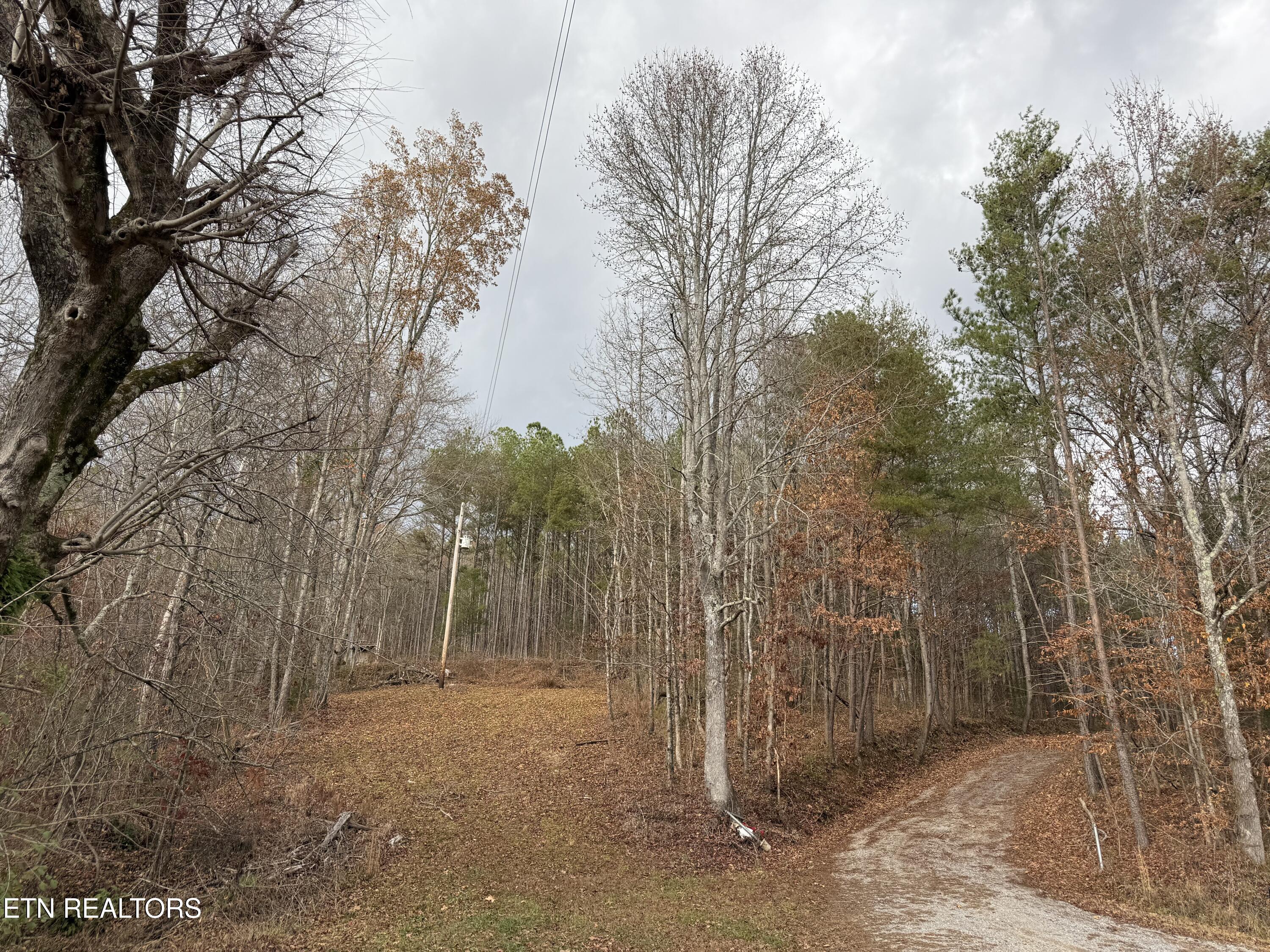 Lot 1 Parksville Road Benton, TN 37307 - Photo 11 of 18 IMG_0404