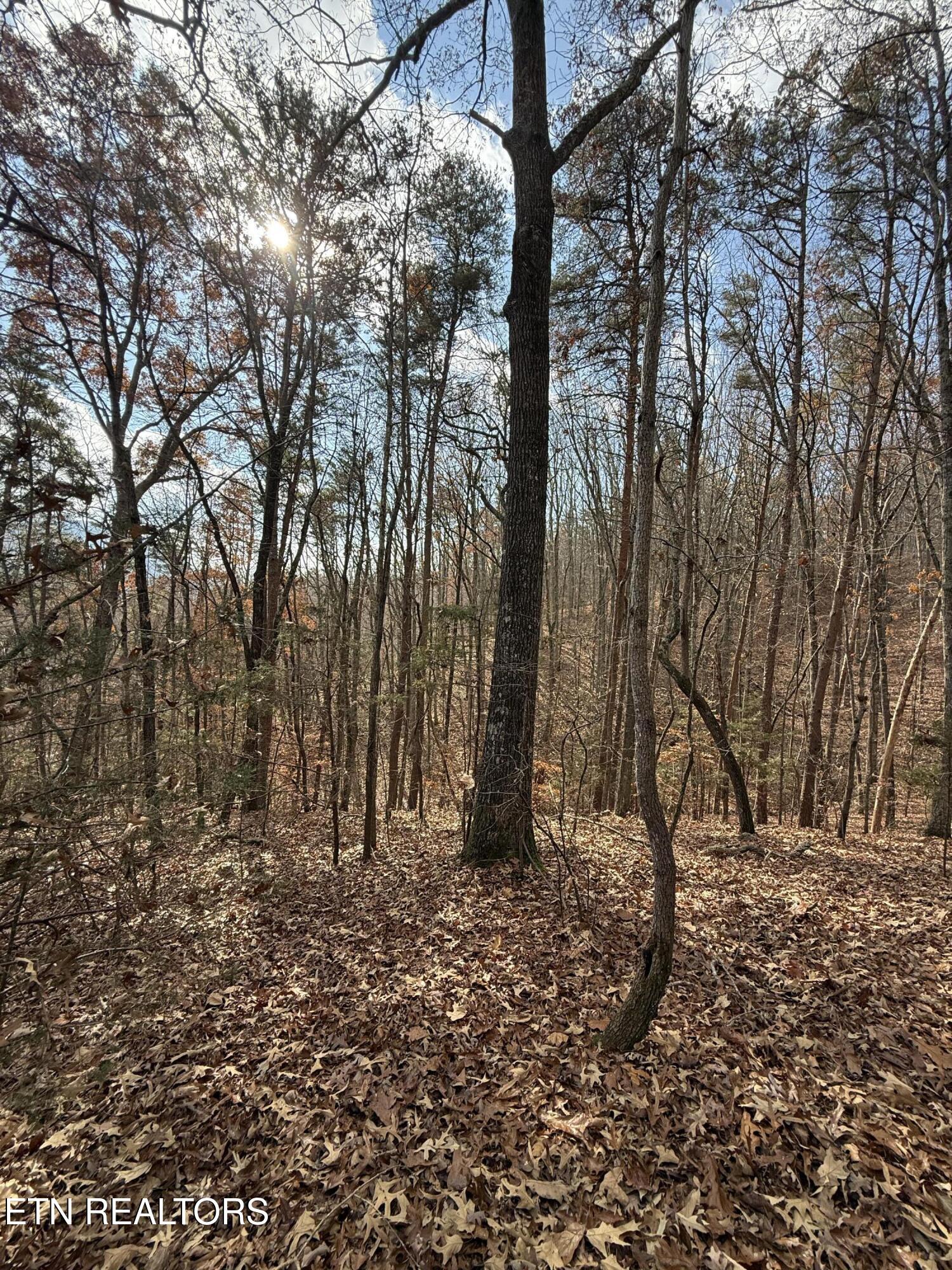 Lot 1 Parksville Road Benton, TN 37307 - Photo 12 of 18 IMG_0333