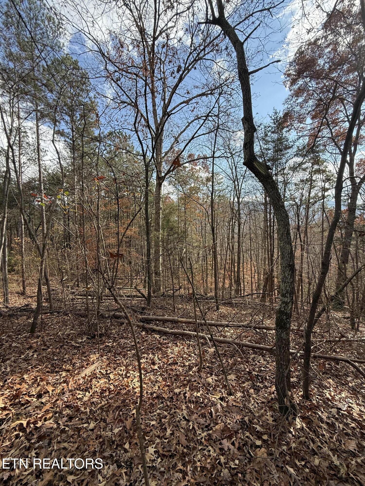 Lot 1 Parksville Road Benton, TN 37307 - Photo 13 of 18 IMG_0334