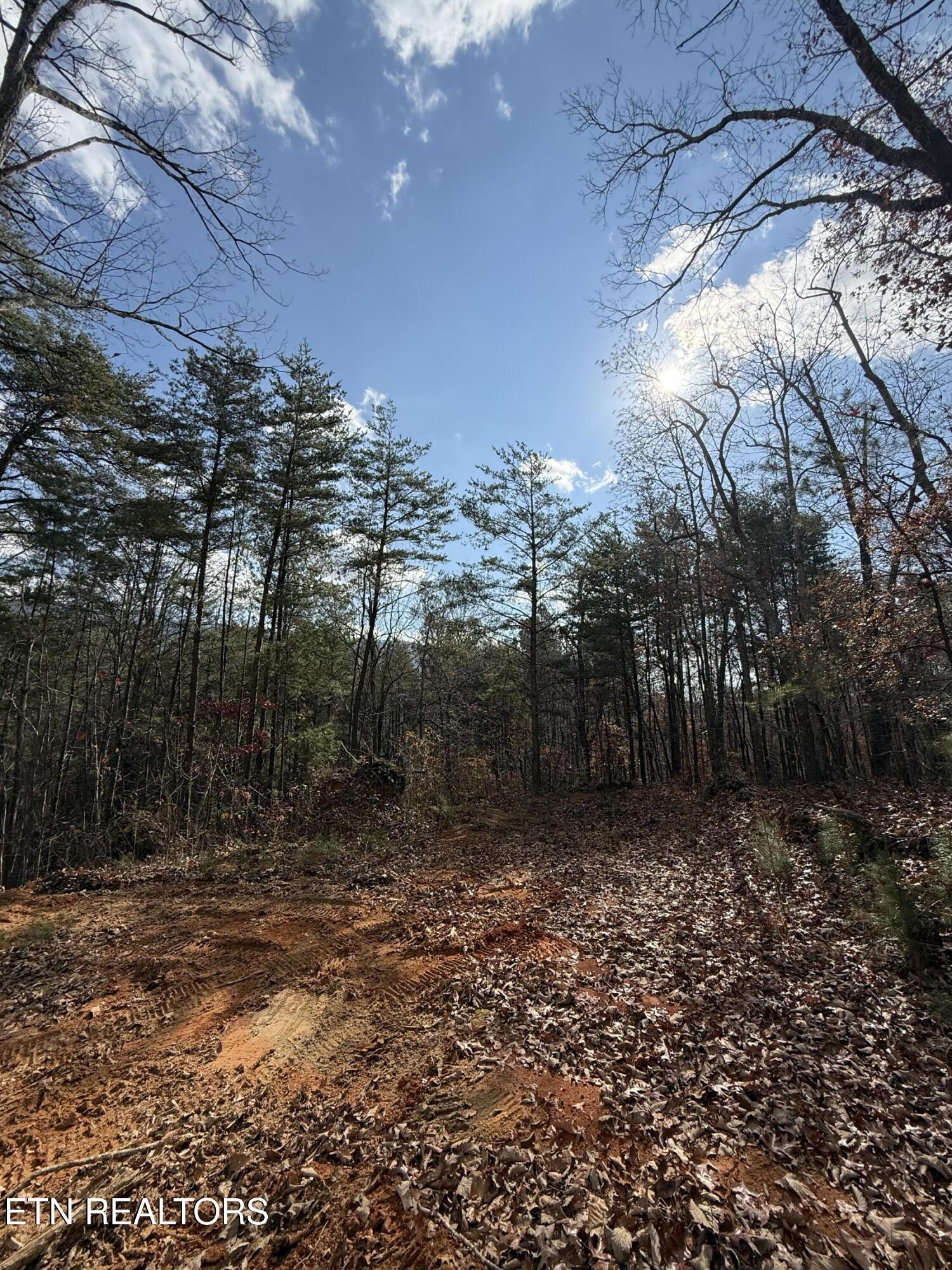 Lot 1 Parksville Road Benton, TN 37307 - Photo 2 of 18 IMG_0329