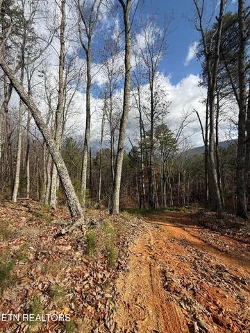 $75,000 | Lot 1 Parksville Road, Benton, TN 37307