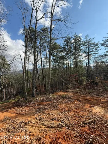 $75,000 | Lot 1 Parksville Road, Benton, TN 37307