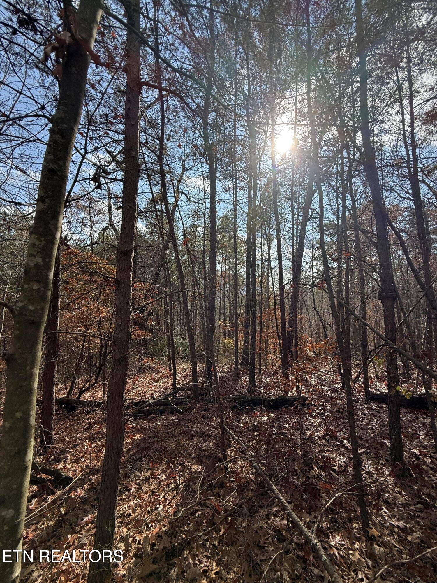 Lot 1 Parksville Road Benton, TN 37307 - Photo 8 of 18 IMG_0330