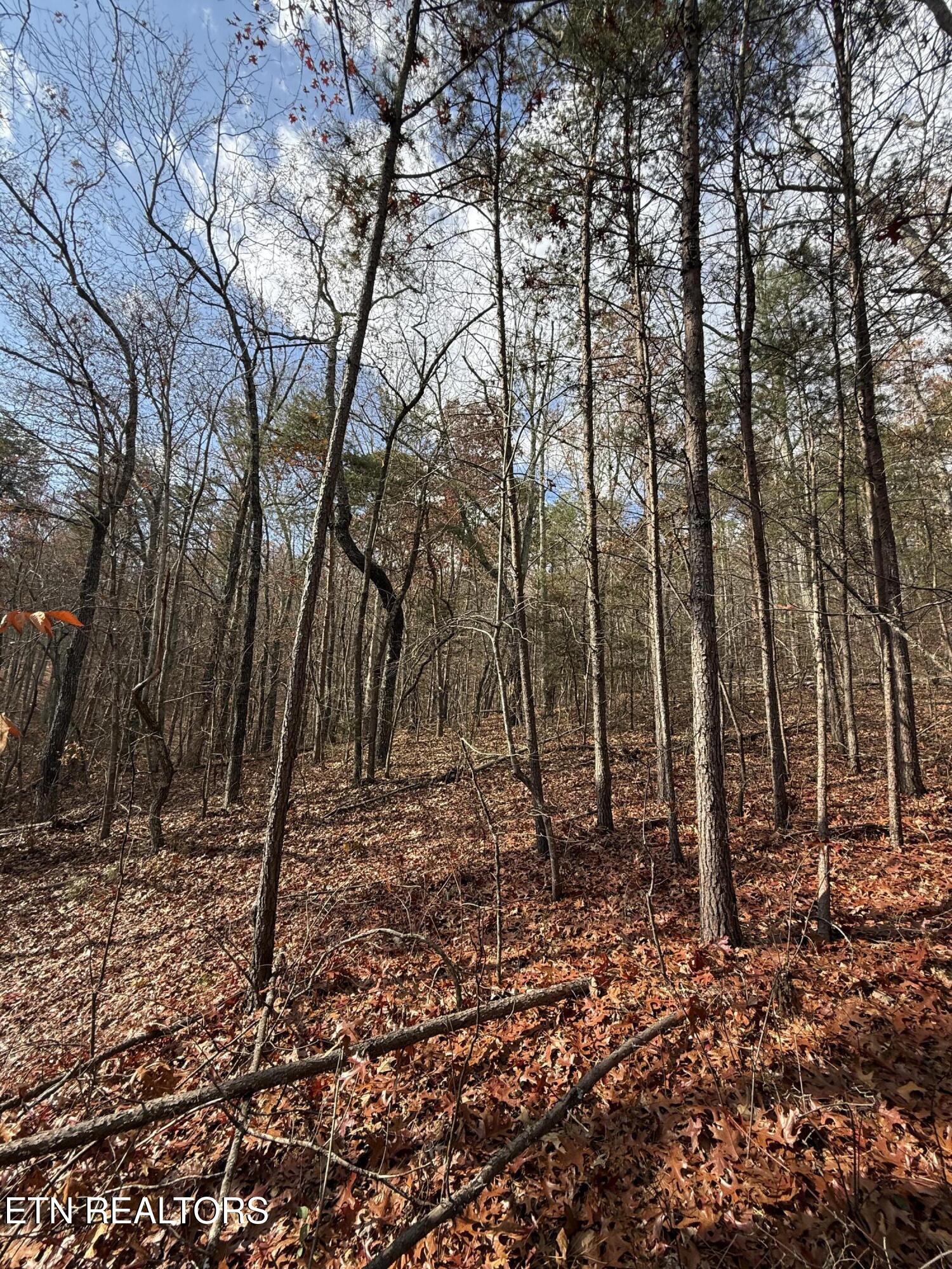 Lot 1 Parksville Road Benton, TN 37307 - Photo 9 of 18 IMG_0331