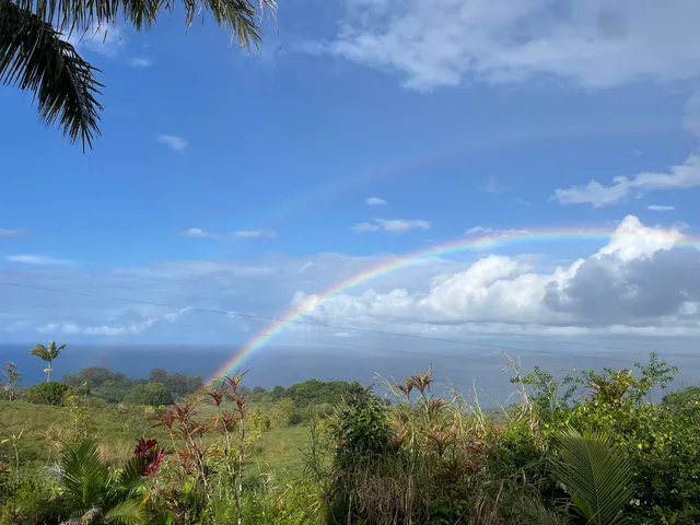 a view of a golf course with a garden