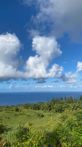 a view of a yard with an ocean