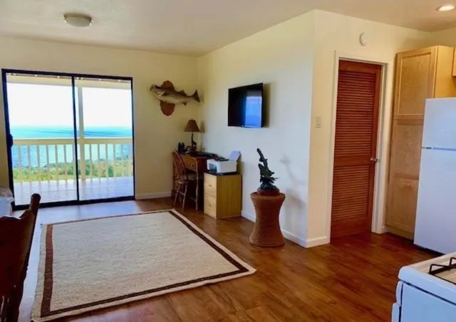 a living room with furniture rug and wooden floor