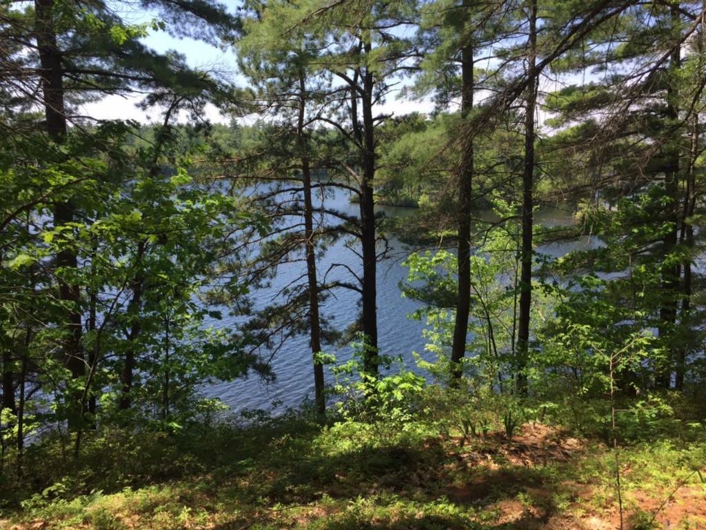 65 Fulton Road Acton, ME 04001 - Photo 7 of 10 Photo