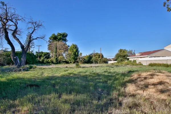 a view of a garden