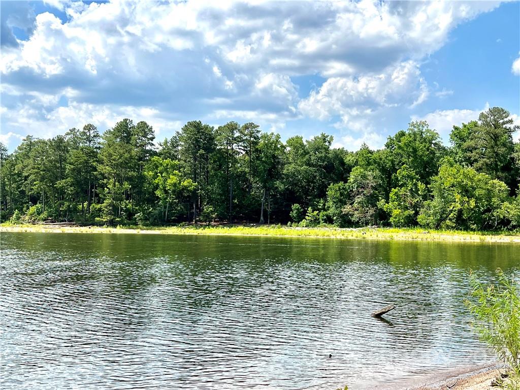 176 North State Lane Rockingham, NC 28379 - Photo 14 of 30 a view of a lake view