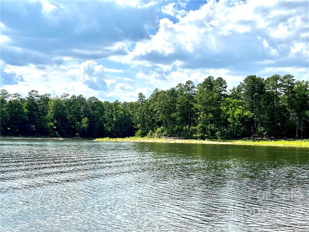 176 North State Lane Rockingham, NC 28379 - Photo 19 of 30 a view of a ocean view