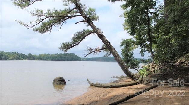 176 North State Lane Rockingham, NC 28379 - Photo 24 of 30 a view of a lake with a tree