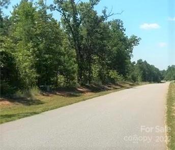 176 North State Lane Rockingham, NC 28379 - Photo 30 of 30 a view of a yard with large trees