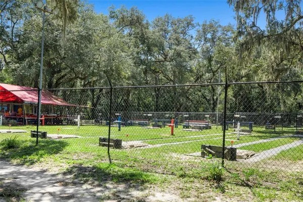 a view of a yard with trees