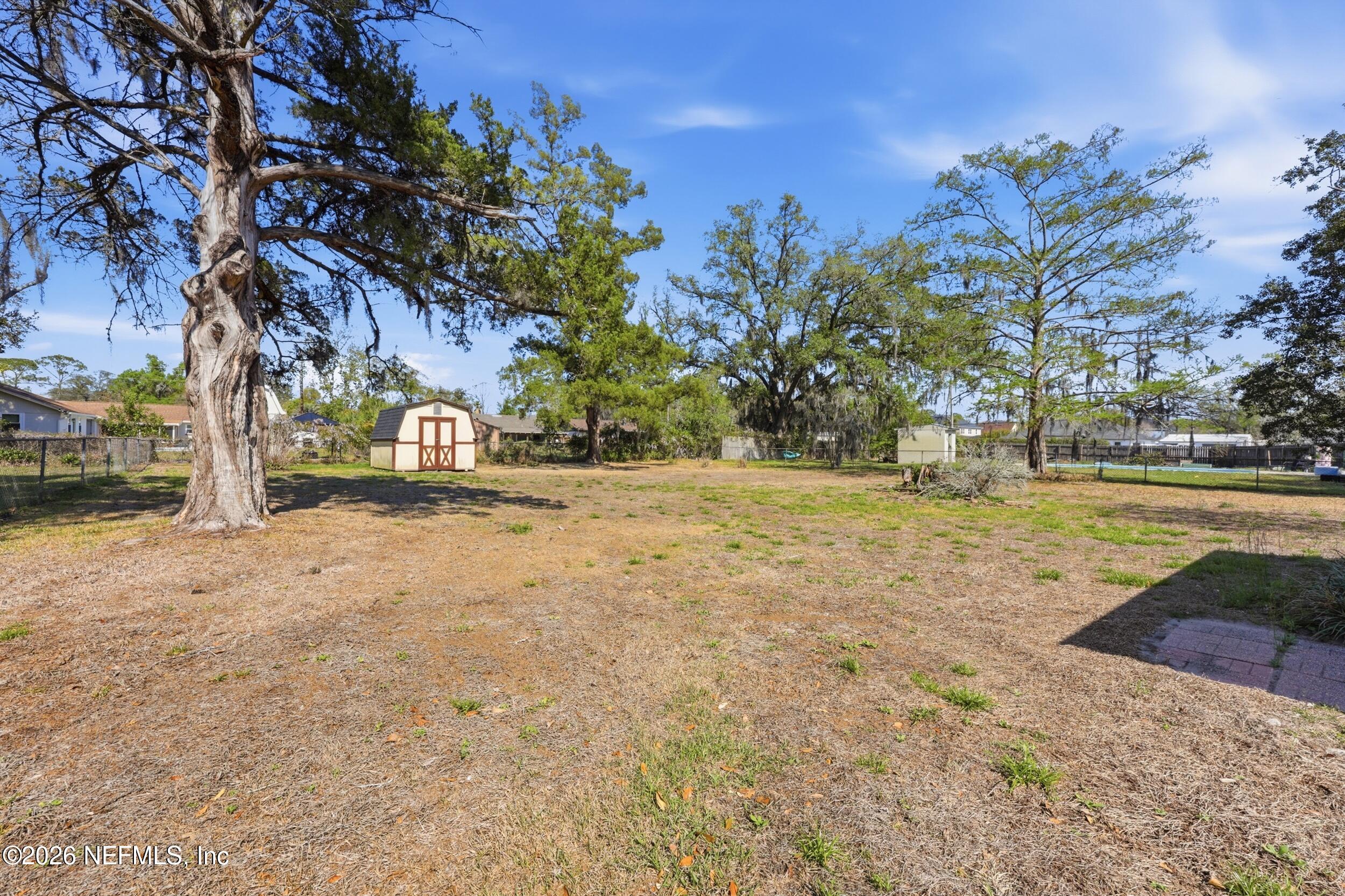 3519 Peoria Road Orange Park, FL 32065 - Photo 34 of 43 a view of dirt yard with a large tree