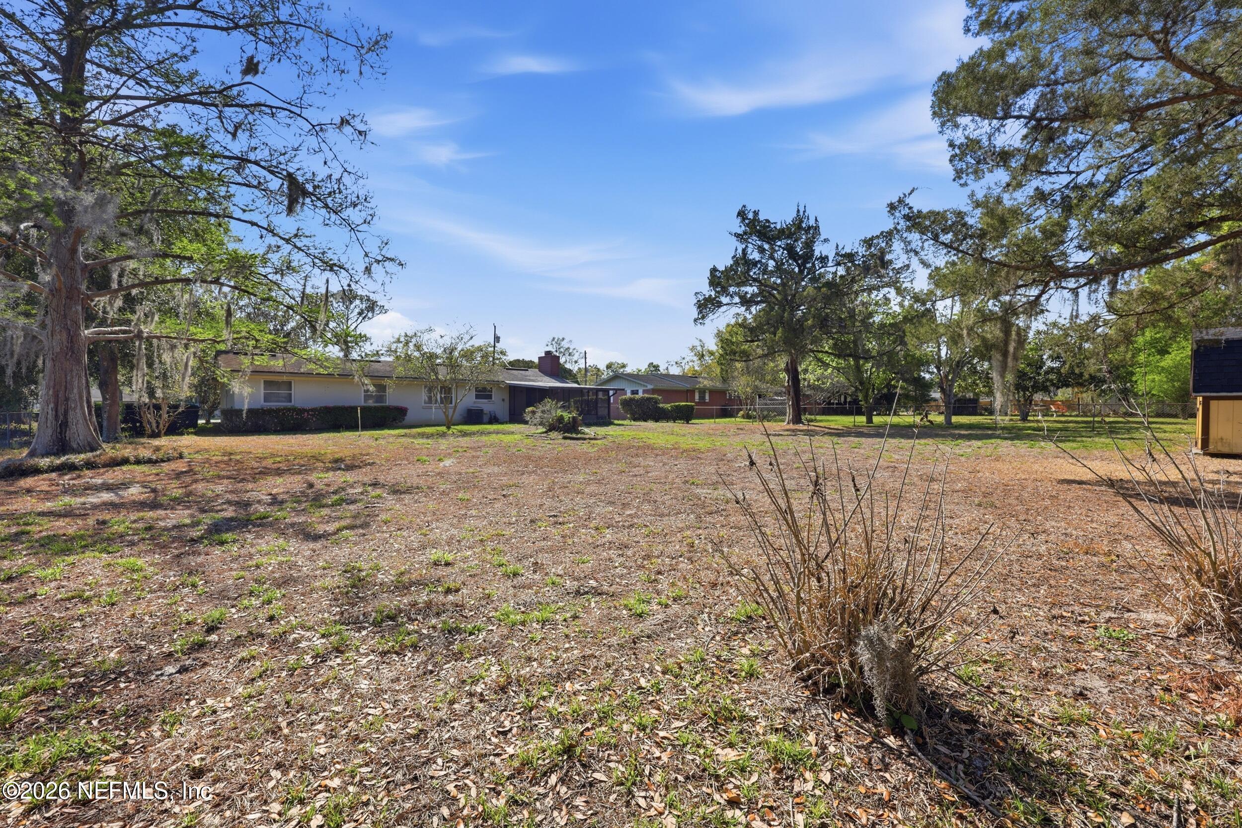 3519 Peoria Road Orange Park, FL 32065 - Photo 36 of 43 a view of a yard with a tree