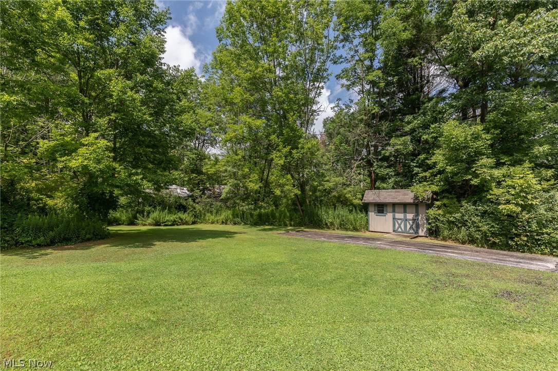 11634 Old State Road Chardon, OH 44024 - Photo 27 of 27 View of back yard featuring a storage shed