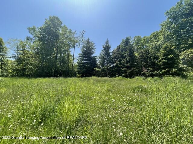 3043 Springport Road Jackson, MI 49201 - Photo 6 of 10 9