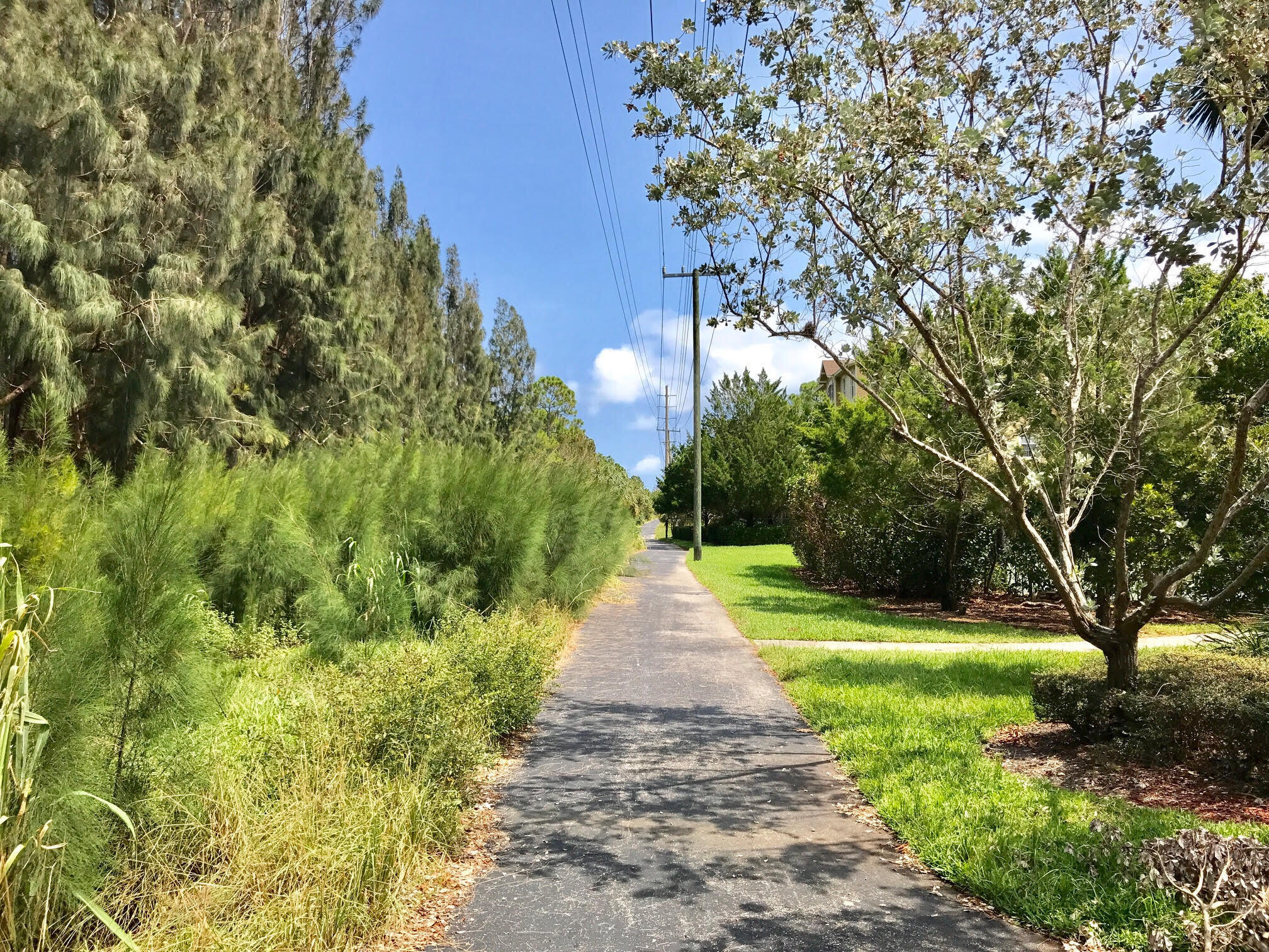 110 Sea Plum Drive, Unit 103 Jupiter, FL 33458 - Photo 25 of 31 a view of a pathway with a yard