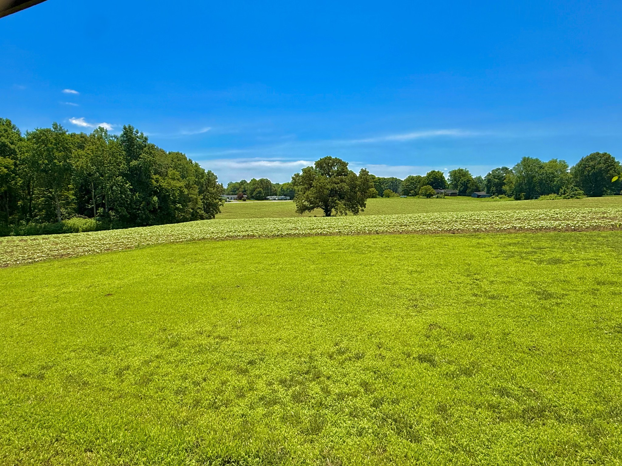 8 Lambs Ferry Road Leoma, TN 38468 - Photo 28 of 53