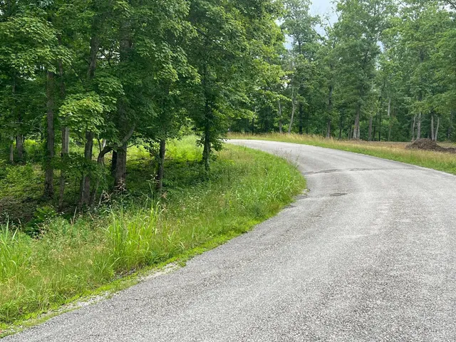 a view of a park with large trees
