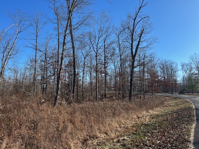 3 Slaughter Road Primm Springs, TN 38476 - Photo 3 of 6 a view of backyard with green space