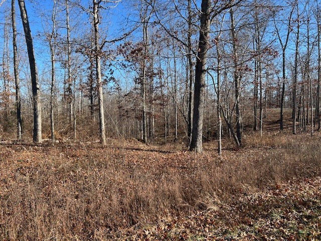 3 Slaughter Road Primm Springs, TN 38476 - Photo 4 of 6 a backyard of a house with lots of green space