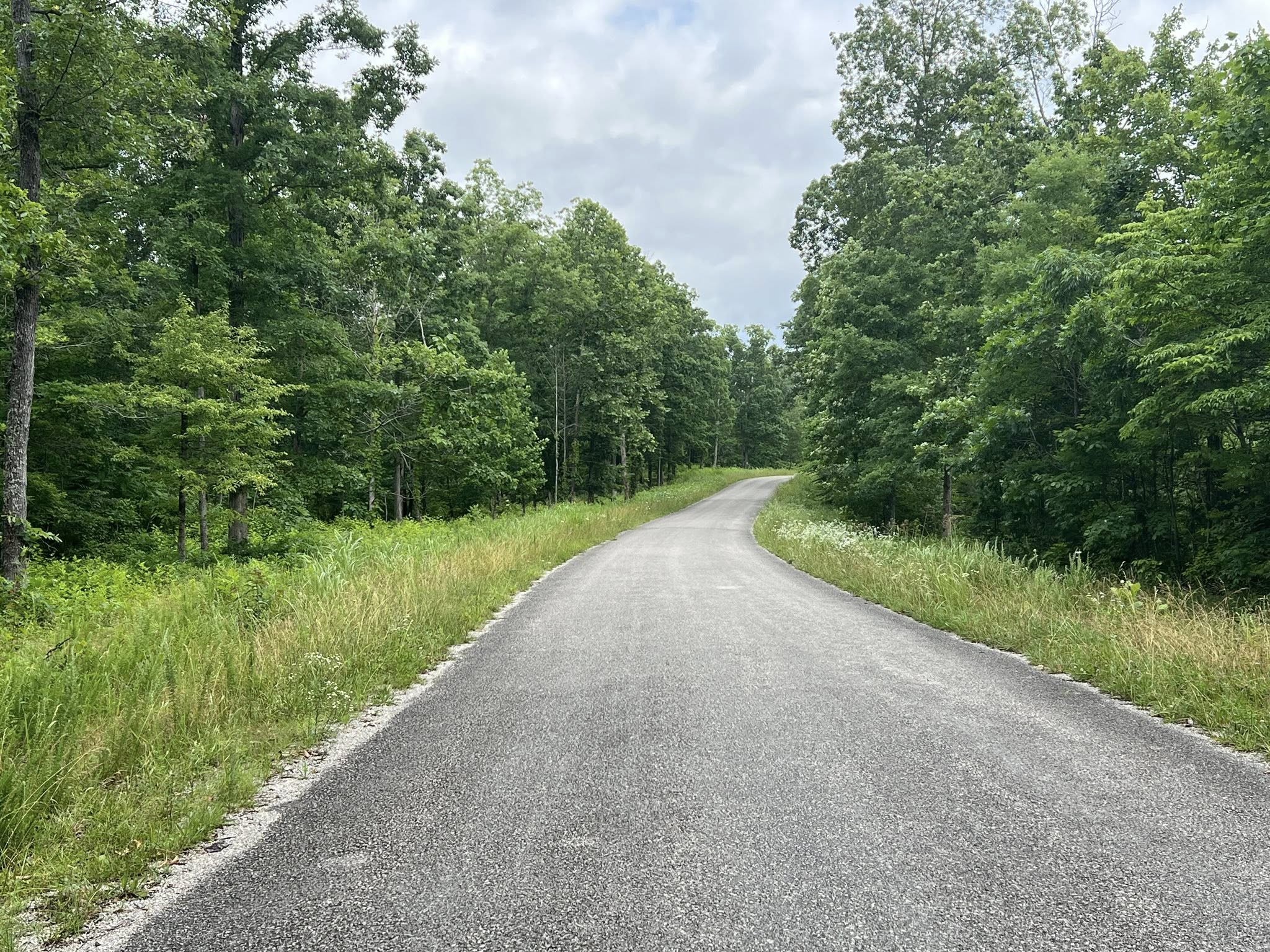 3 Slaughter Road Primm Springs, TN 38476 - Photo 6 of 6 a view of a street both side of grassy field with trees