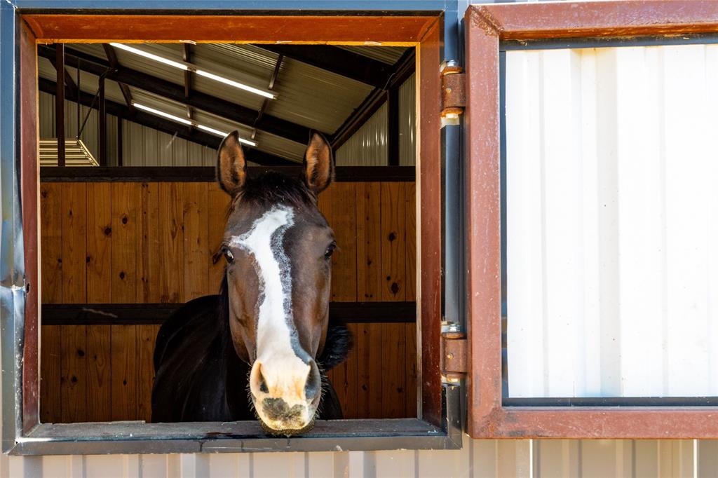 5543 Gray Road Nocona, TX 76255 - Photo 3 of 36 a close view of walk in closet