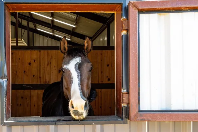 $699,999 | 5543 Gray Road, Nocona, TX 76255