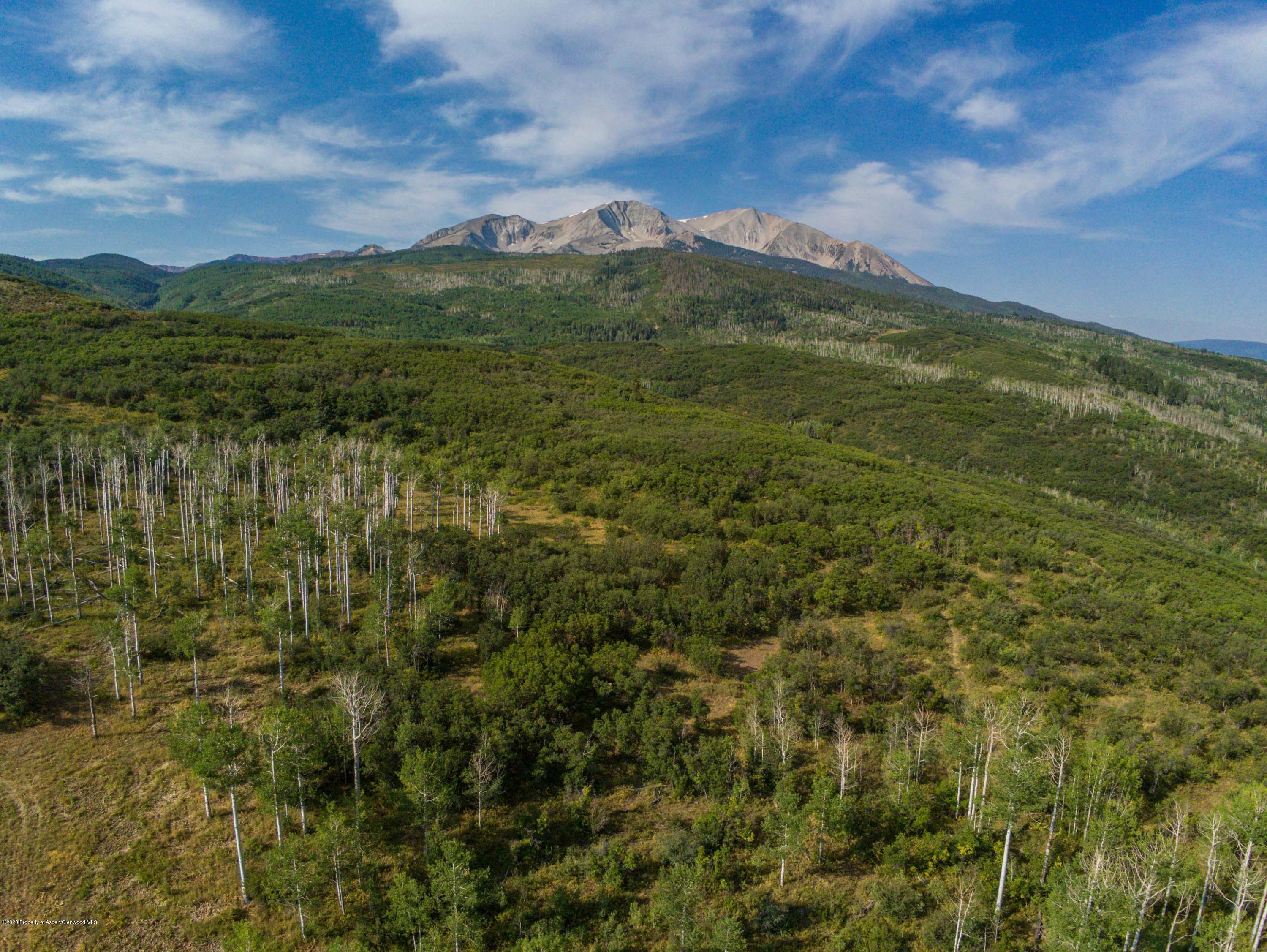 Tbd Sopris Mountain Ranch Road Basalt, CO 81621 - Photo 11 of 18 5