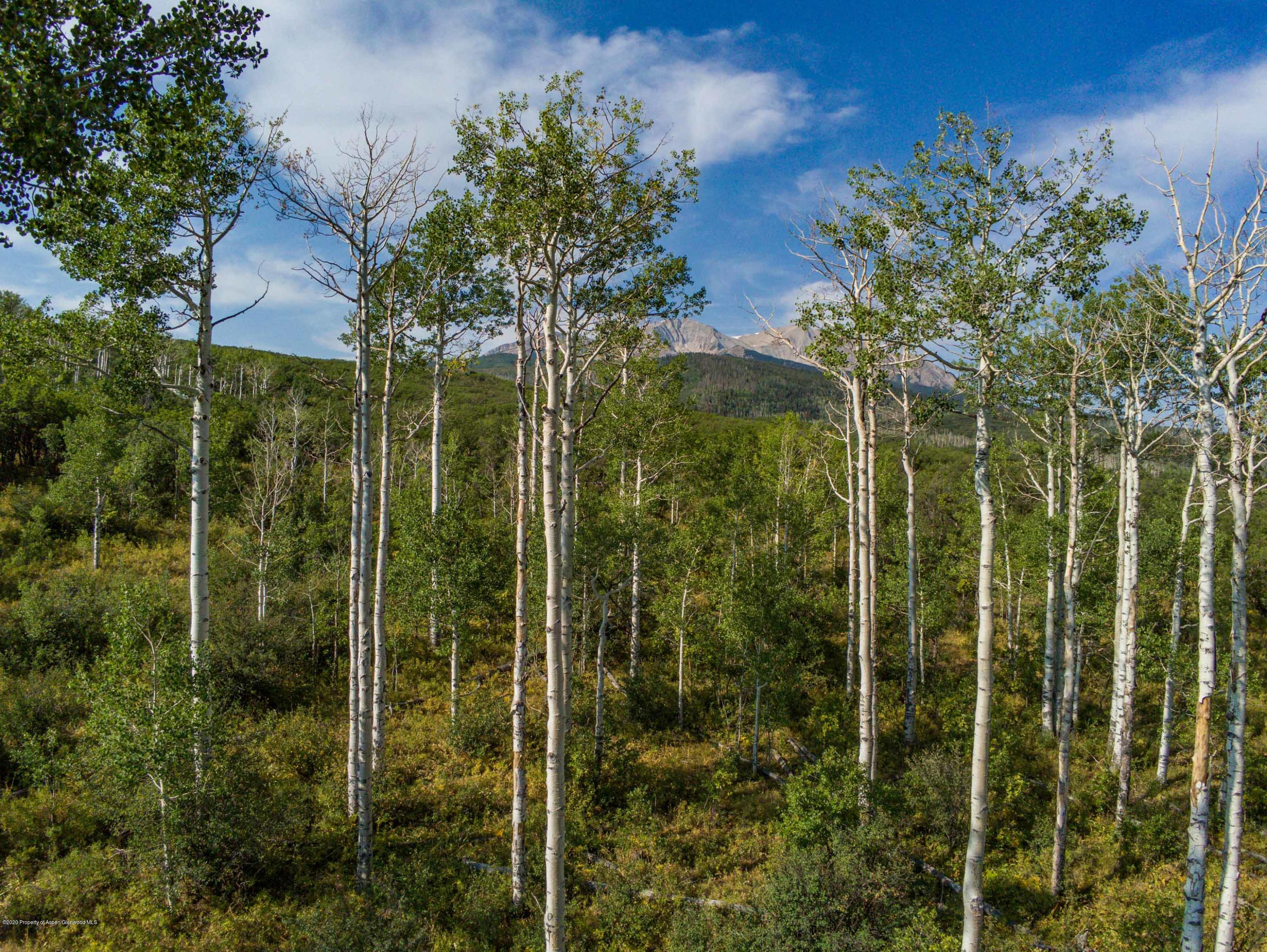 Tbd Sopris Mountain Ranch Road Basalt, CO 81621 - Photo 3 of 18 P1220122