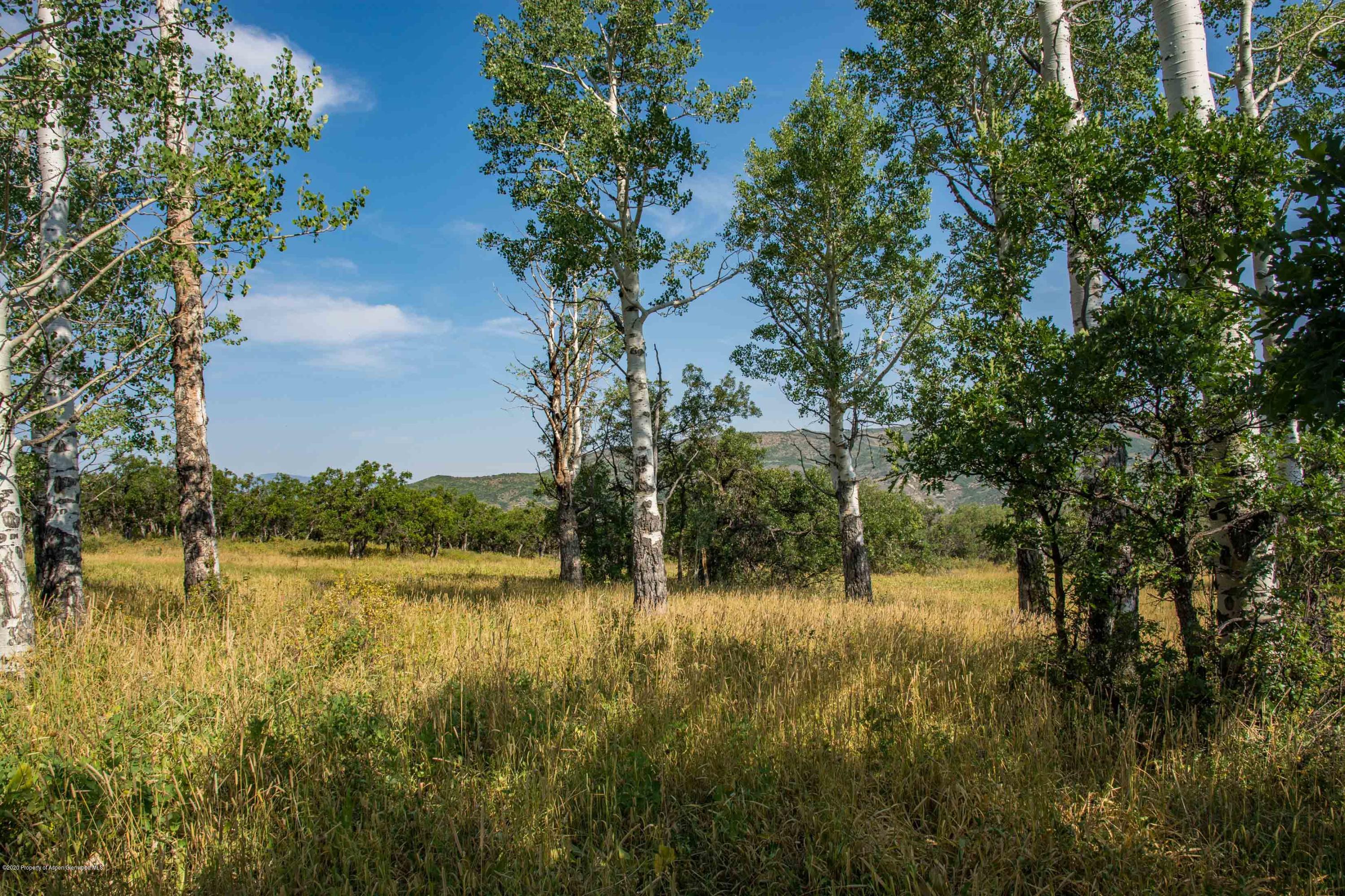 Tbd Sopris Mountain Ranch Road Basalt, CO 81621 - Photo 4 of 18 15