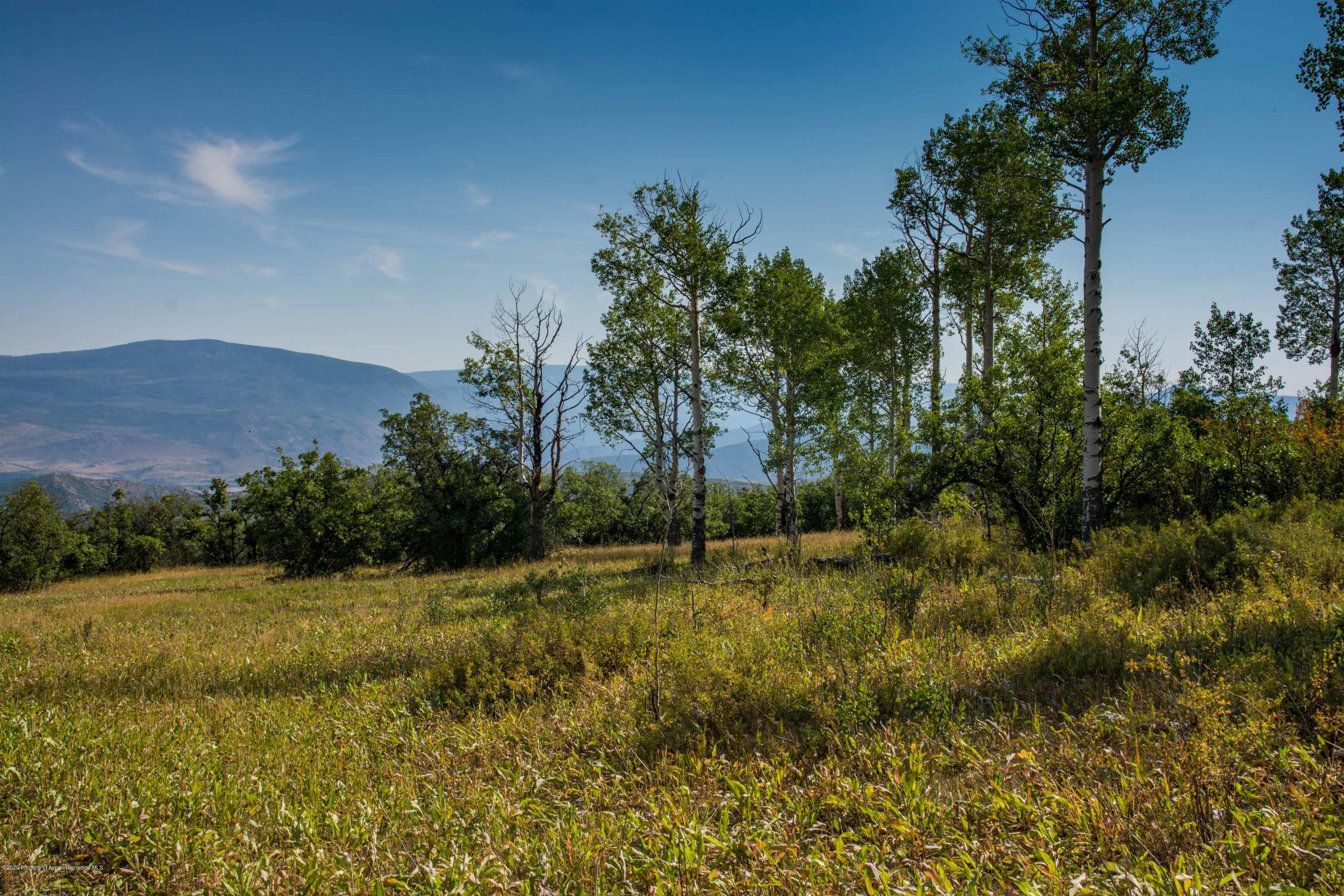 Tbd Sopris Mountain Ranch Road Basalt, CO 81621 - Photo 5 of 18 13