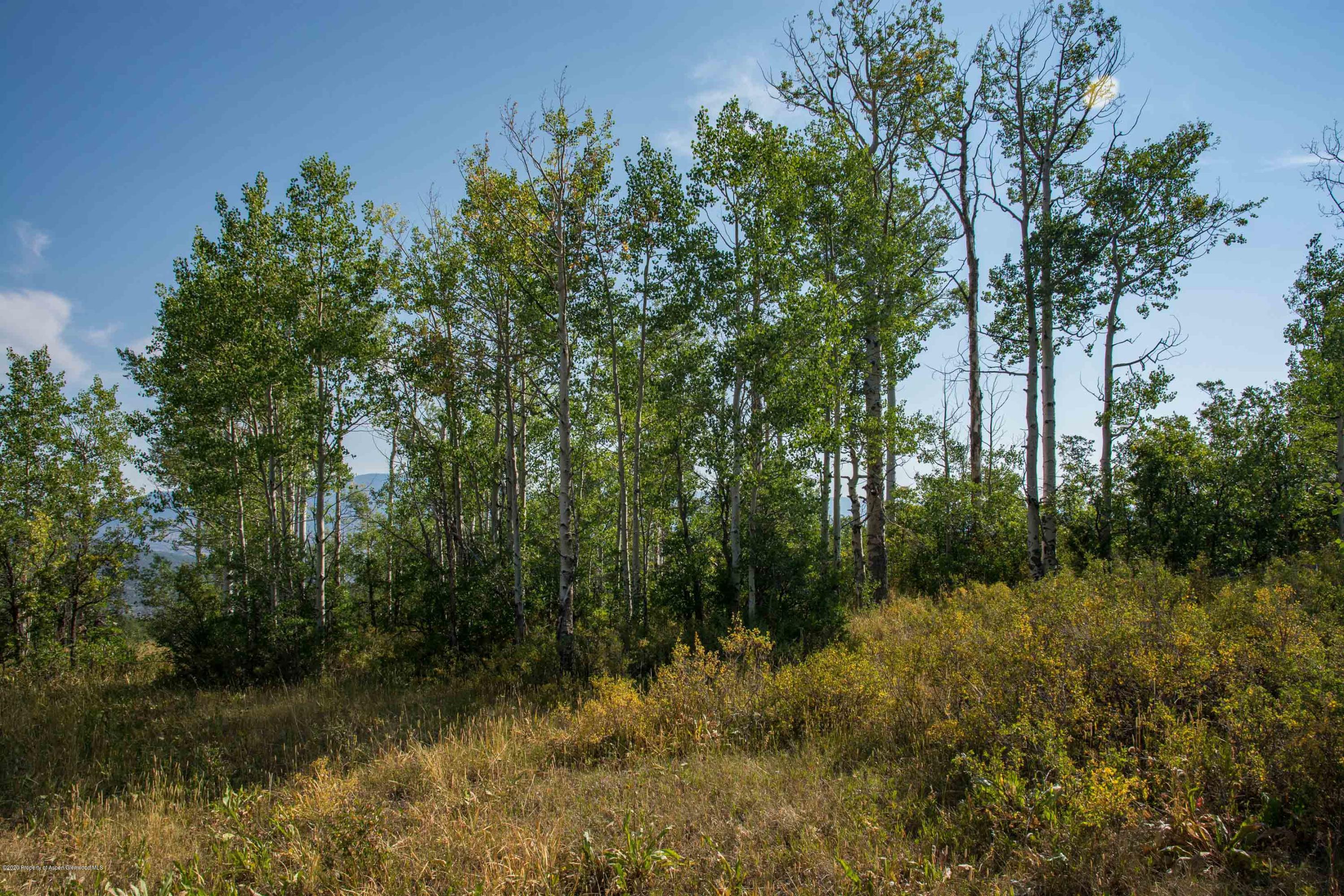 Tbd Sopris Mountain Ranch Road Basalt, CO 81621 - Photo 6 of 18 12