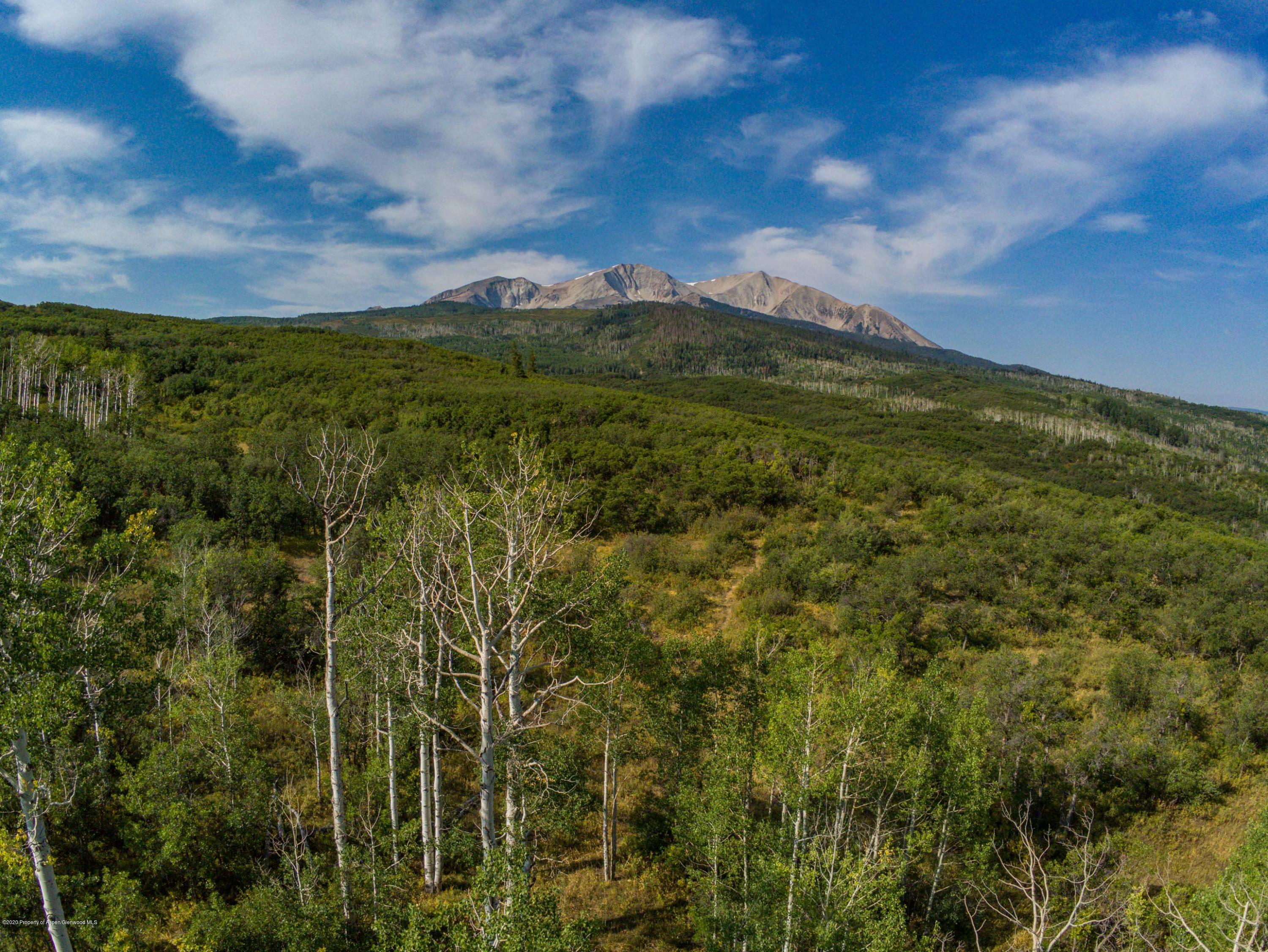 Tbd Sopris Mountain Ranch Road Basalt, CO 81621 - Photo 9 of 18 2