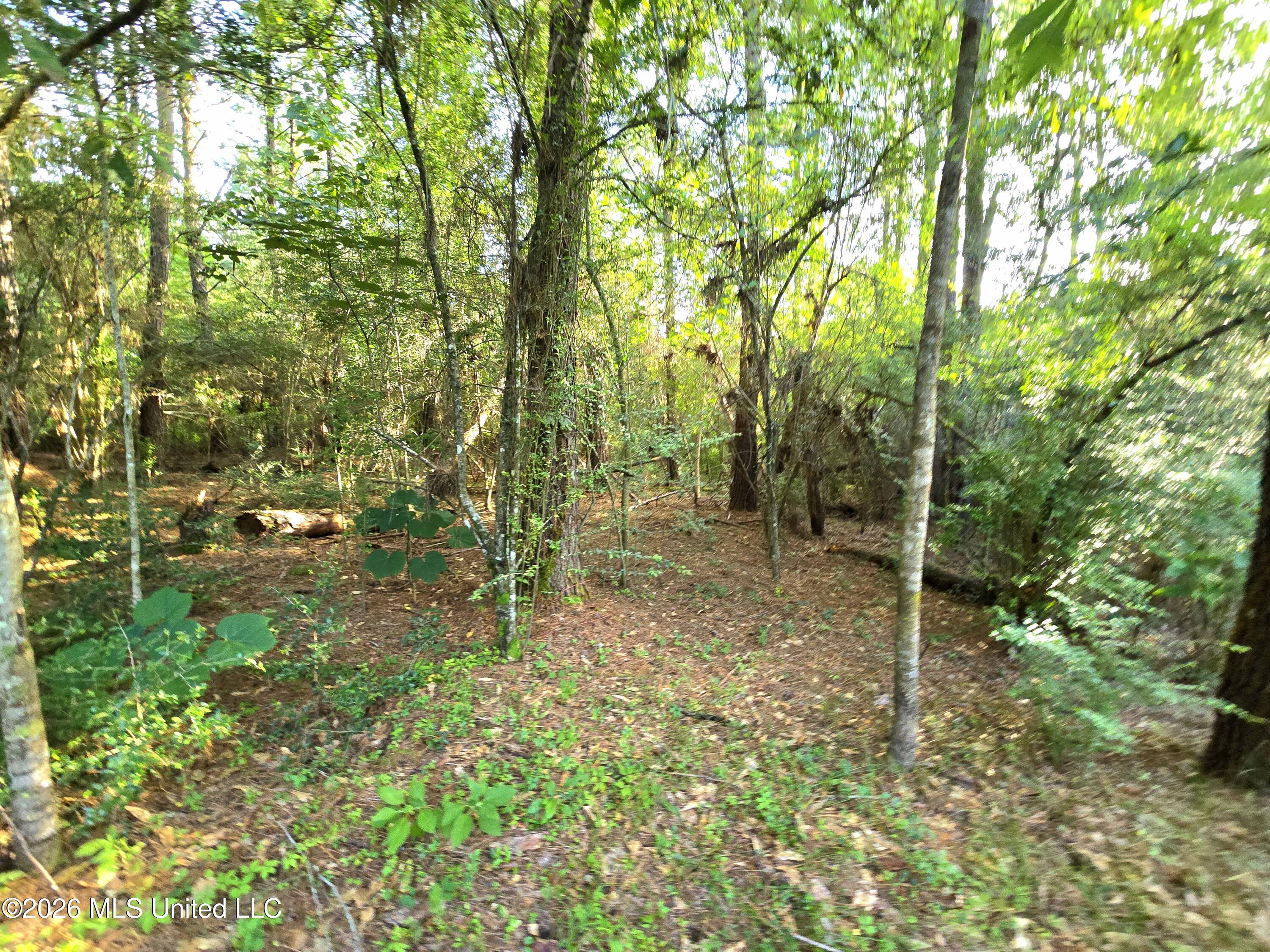 1189 Shady Grove Road Osyka, MS 39657 - Photo 21 of 27 20260622_183655