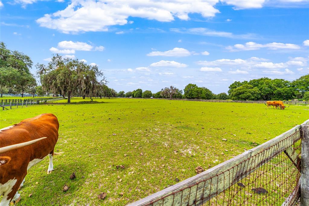 2285 West Highway 318 Citra, FL 32113 - Photo 86 of 91