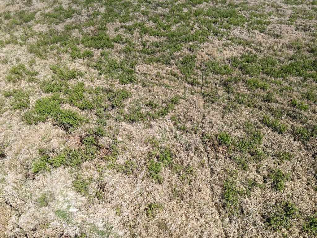 73 Cromwell Mn 55726 Wright, MN 55798 - Photo 11 of 24 Aerial view