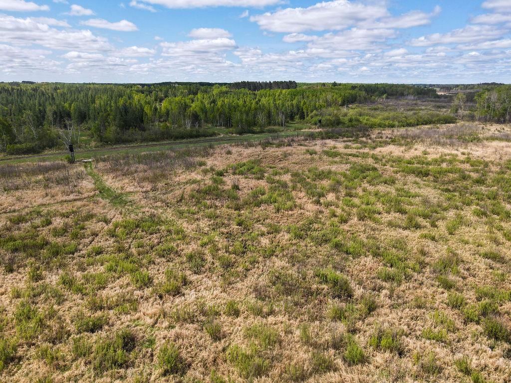 73 Cromwell Mn 55726 Wright, MN 55798 - Photo 18 of 24 View of nature