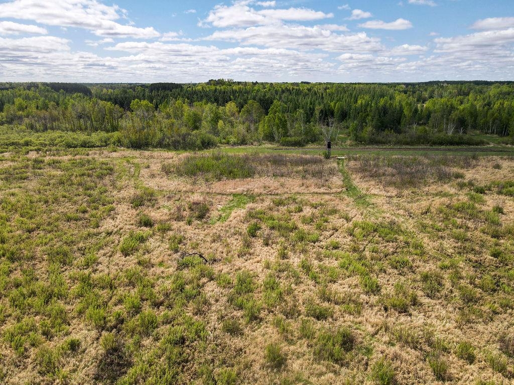 73 Cromwell Mn 55726 Wright, MN 55798 - Photo 19 of 24 View of tree filled area