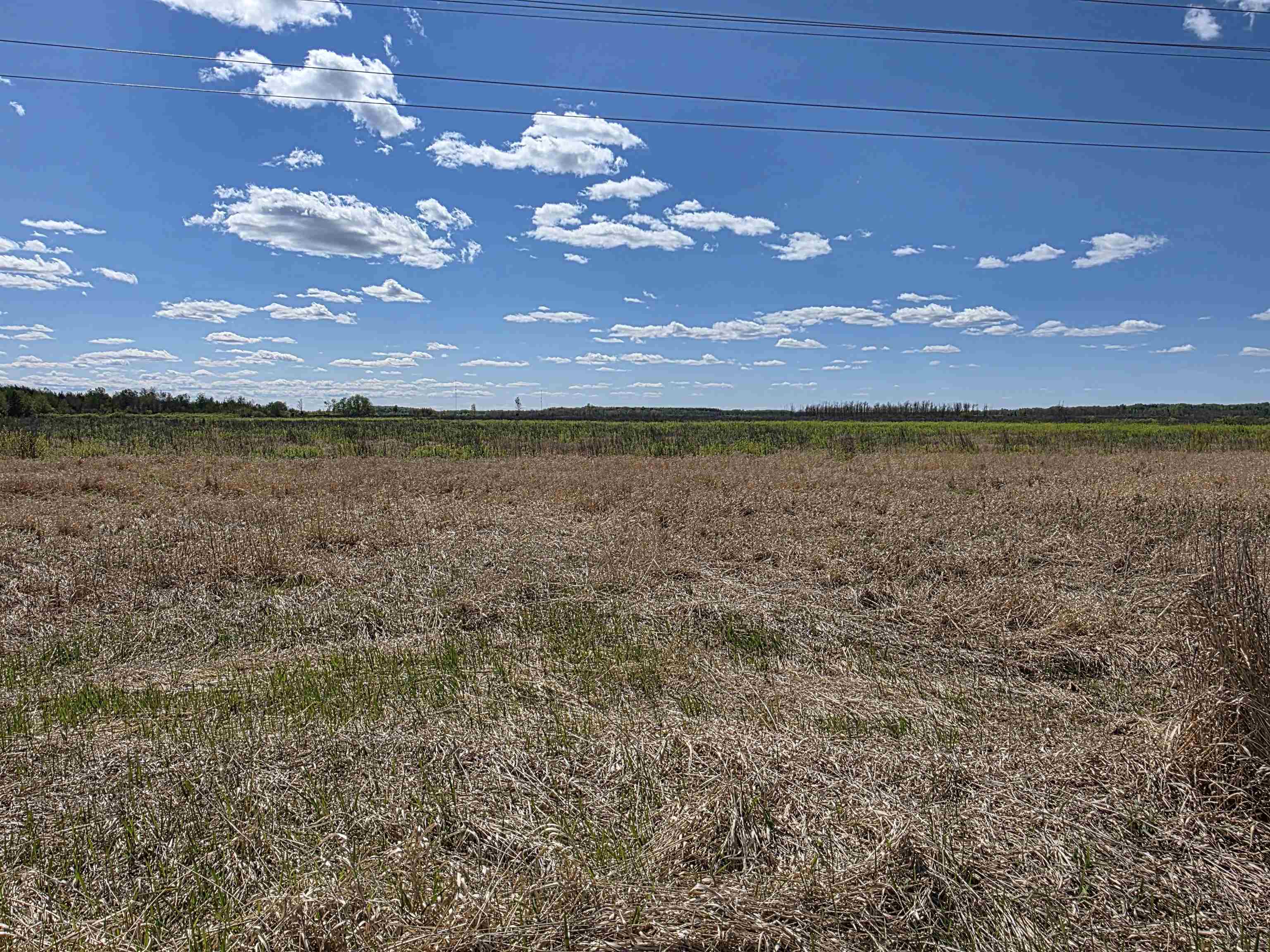73 Cromwell Mn 55726 Wright, MN 55798 - Photo 3 of 24 View of undeveloped land with rural landscape
