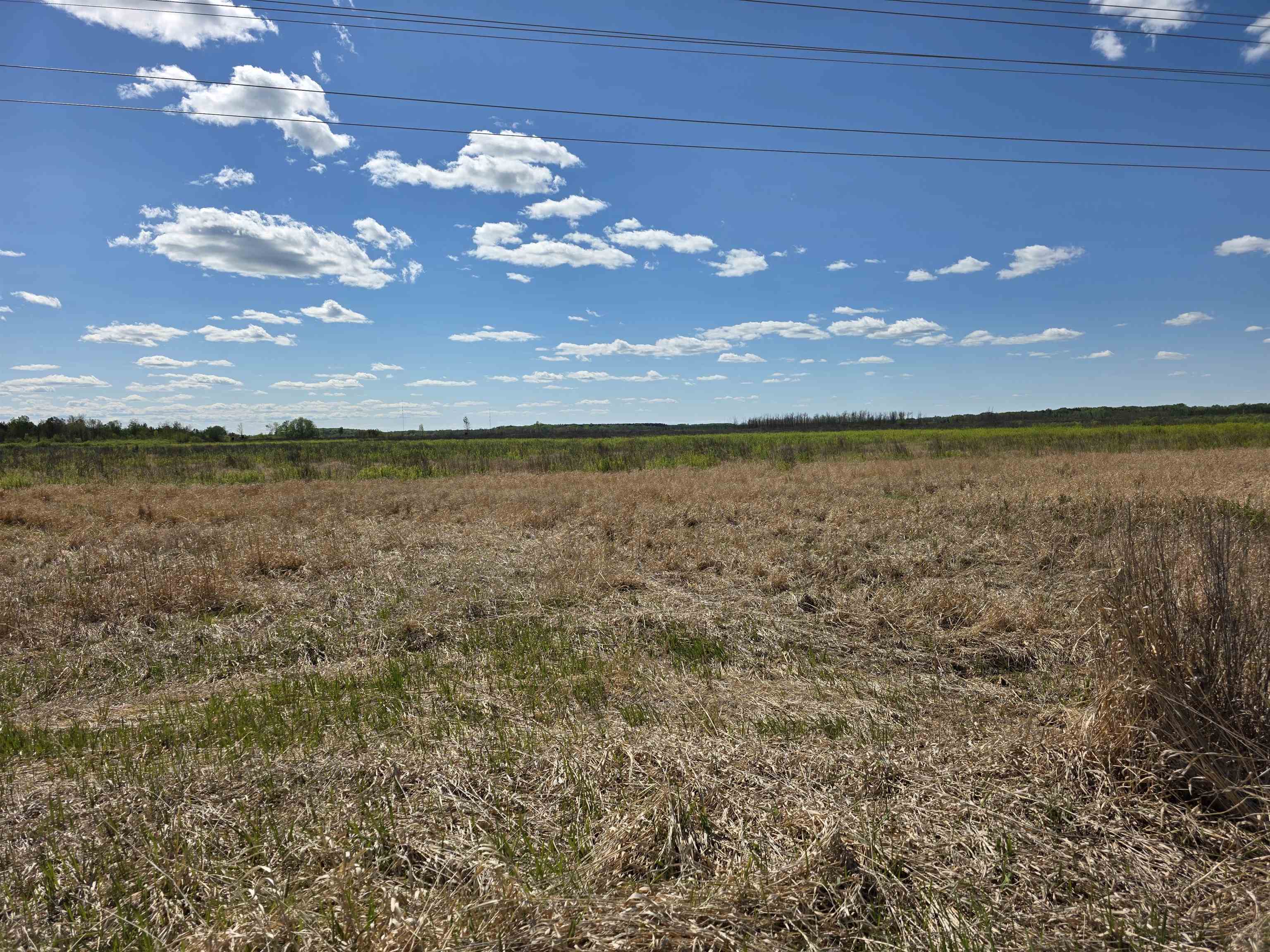 73 Cromwell Mn 55726 Wright, MN 55798 - Photo 4 of 24 View of local wilderness with rural landscape