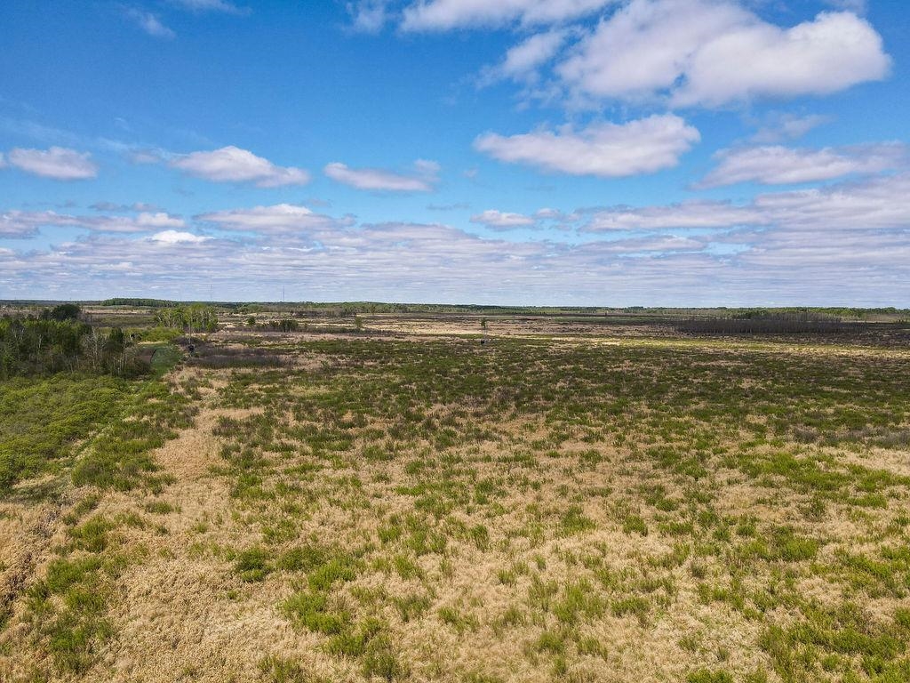 73 Cromwell Mn 55726 Wright, MN 55798 - Photo 9 of 24 View of yard